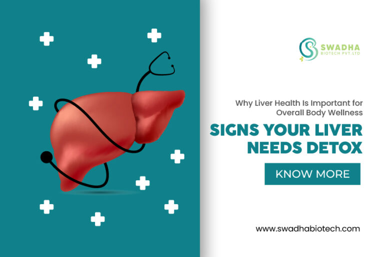 Blogs new file Nov 2025 (8)