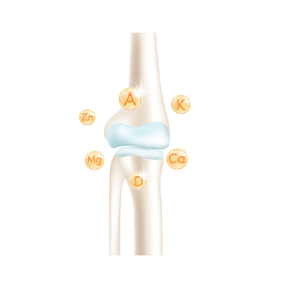 bones2